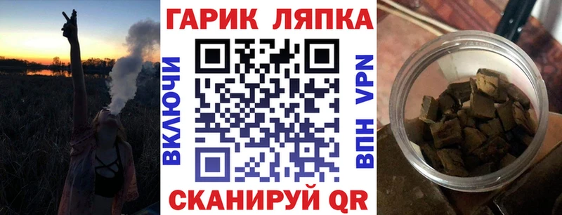 наркота  Калтан  Гашиш индика сатива 