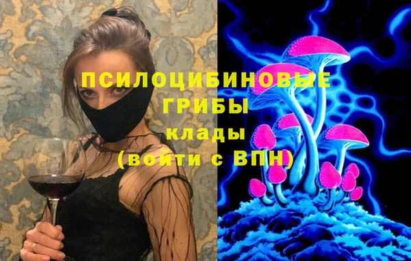 spice Алексин