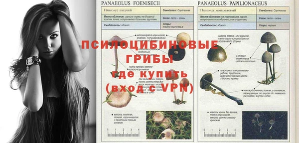 круглые Алексеевка